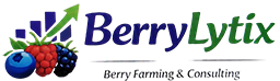 berrylytix.com