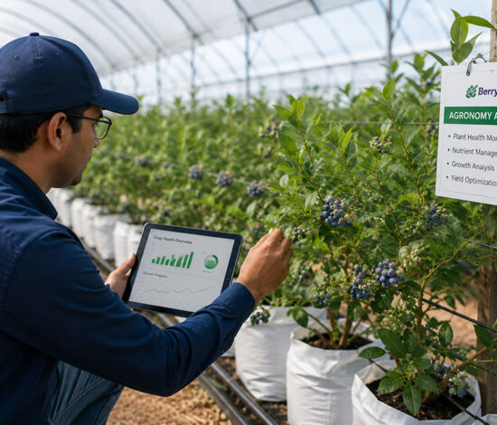 Agronomy Advisory