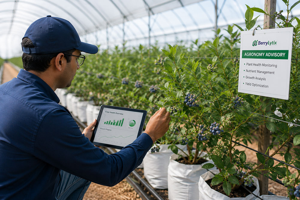 Agronomy Advisory